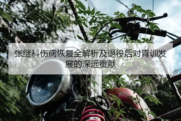 张继科伤病恢复全解析及退役后对青训发展的深远贡献 - ONE ENTERTAINMENT